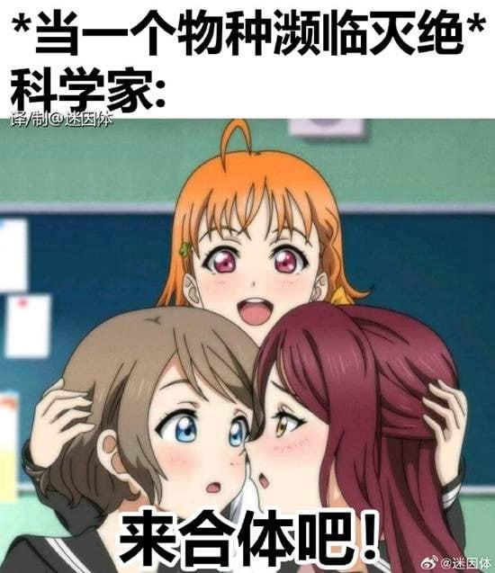 渡边曜