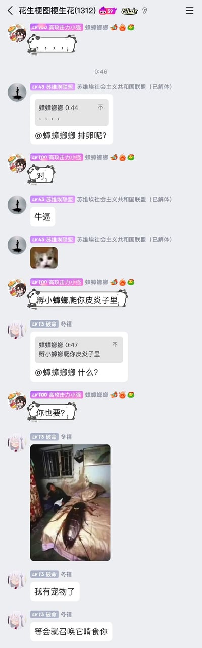 这是一张名为“花生梗图梗生花”的聊天群截图，群成员围绕蟑螂展开了一系列搞怪玩梗互动。用户“蟑蟑螂螂”先发了一串标点符号，被群友调侃是在“排卵”，该用户顺势承认，随后双方开启互怼玩梗模式；另一位群友“冬禧”加入互动后，发出一张经过P图处理的巨型蟑螂趴在床上的图片，戏称这是自己的宠物，要召唤它啃食对方，整个对话充满了轻松搞怪的趣味氛围，是群聊里常见的即兴玩梗场景。