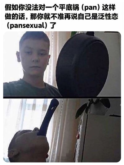 这是一张上下对比的梗图，上方文字写着'假如你没法对一个平底锅（pan）这样做的话，那你就不准再说自己是泛性恋（pansexual）了'。图片上半部分显示一个男孩表情严肃地看着一个平底锅，下半部分则显示他将平底锅扣在头上。图片使用了'pan'（平底锅）和'pansexual'（泛性恋）的谐音梗制造幽默效果。