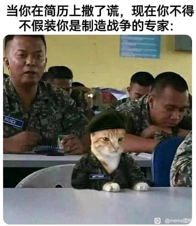 这是一张经过P图改编的搞笑Meme梗图，画面基于真实的军人课堂照片创作，将一只猫咪的头部与身着军装、佩戴贝雷帽的身体合成在课堂的桌前，猫咪胸前的名字牌写着“MITTENS”，它眼神局促、强装镇定地趴在桌上，仿佛在硬着头皮参与自己完全不懂的军事课程。周围是真实的军人，有的在认真听讲，有的则犯困低头。图上方的配文“当你在简历上撒了谎，现在你不得不假装你是制造战争的专家”，精准地将猫咪的处境与职场中简历造假后，被迫胜任自己完全陌生的工作时的尴尬、心虚、强撑的状态对应起来，用幽默的方式戳中了职场社死的共鸣点。