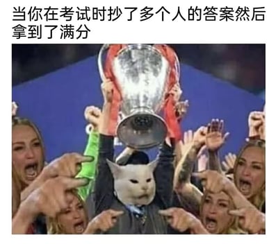 这张梗图通过幽默的方式展示了一个荒诞场景：一只表情得意的白猫举着巨大奖杯站在一群欢呼的人群中间，上方文字写着"当你在考试时抄了多个人的答案然后拿到了满分"。图片通过将猫的头部嫁接到体育庆祝场景中，形成了强烈的视觉反差和喜剧效果，讽刺了考试作弊却获得成功的侥幸心理。