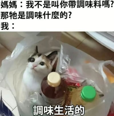 图片上方是妈妈与孩子的对话文字：“妈妈：我不是叫你带调味料吗？那牠是调味什么的？我：”，下方是一只黑白棕相间的猫咪蜷缩在装满物品（包括酱油瓶等）的透明塑料袋里，猫咪睁着大眼睛看向镜头，表情无辜，图片底部配有文字“调味生活的”。这是一个利用谐音梗的搞笑图片，将“调味料”（烹饪用的调料）与“调味生活”（给生活增添乐趣）结合，用猫咪幽默回应妈妈的疑问，营造出轻松诙谐的氛围。