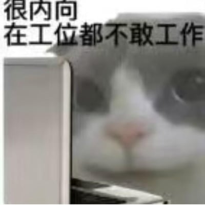 这是一张职场相关的搞笑梗图，图中一只灰白相间的真实猫咪躲在工位的隔板后面，只露出半张脸，眼神怯懦又带着委屈感。图片上方配有文字“很内向，在工位都不敢工作”，用猫咪躲起来的状态类比打工人的社恐心态、对工作的抗拒或是摸鱼时的状态，以夸张的调侃方式表达职场中内向、不想工作的情绪，没有双关、谐音梗等内容。