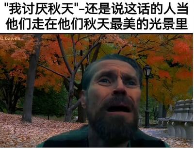 图片上方配有文字'我讨厌秋天-还是说这话的人当他们走在他们秋天最美的光景里'，下方是一位男性在色彩斑斓的秋日树林中，表情惊讶地抬头望向天空。画面中可见红色、橙色和黄色的秋叶，地面铺满落叶，背景有路灯和长椅，营造出浓郁的秋日氛围。文字与画面形成反差，暗示人们嘴上说着讨厌秋天，却身处秋日美景之中的矛盾心理。
