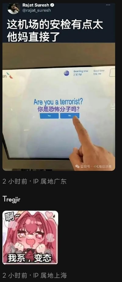 这是一张拼接的社交平台趣味内容截图，分为上下两部分：
1. 上方是推特用户Rajat Suresh分享的机场安检电子界面截图，界面用中英文直白提问「Are you a terrorist?你是恐怖分子吗？」，用户配文吐槽「这机场的安检有点太他妈直接了」，IP属地显示广东，发布于2小时前；
2. 下方是另一用户Tregjir发布的评论，附带一张粉色双马尾二次元表情包，表情包配文「啊~ 我系 变态」，用完全错位的无厘头回答调侃安检提问的直白感，IP属地上海，同样发布于2小时前。
整体内容通过反差感制造搞笑效果，无特殊双关、谐音梗或暗示内容。