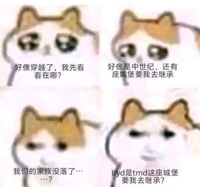 这是一张四格连环式的图文混排卡通表情包，以歪脸猫为核心角色，通过四格画面的表情递进与文字内容的反转，制造荒诞搞笑的效果。第一格中，猫咪带着疑惑的神情，配文“好像穿越了，我先看看在哪？”，呈现出穿越后的迷茫状态；第二格猫咪眼神充满期待，配文“好像是中世纪，还有座城堡要我去继承”，营造出即将获得巨额遗产的兴奋感；第三格猫咪表情转为失落，配文“我们的家族没落了……？”，让情绪急转直下；第四格猫咪表情愤怒且无语，配文“byd是tmd这座城堡要我去继承？”，其中“byd”是脏话“逼养的”的谐音缩写，“tmd”是“他妈的”的缩写，揭露所谓的“继承城堡”实际是要接手家族没落留下的烂摊子，巨大的反差将期待落空的愤怒与无奈用粗俗的吐槽放大，形成强烈的喜剧效果。