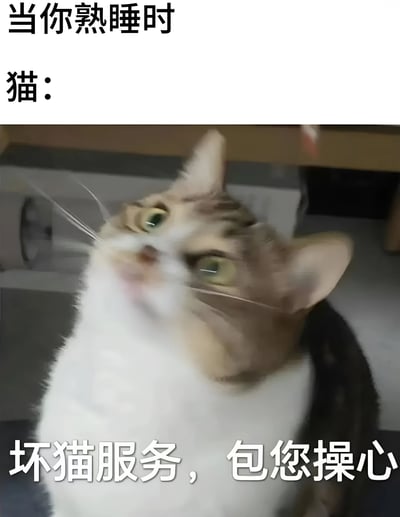 图片上方有文字“当你熟睡时”和“猫：”，中间是一只灰白相间的猫咪仰头向上看的照片，猫咪眼睛睁大，表情显得有些狡黠。图片底部配有文字“坏猫服务，包您操心”。整体通过拟人化手法，幽默地表现了猫咪在主人熟睡时可能进行“捣乱服务”让主人操心的场景，突出了宠物猫调皮捣蛋的一面。