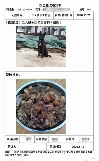 这是一张经过趣味改编的工地安全整改通知单，通知单编号为ZL-01，对应工程名称为DAFJ2019046，针对1#楼木工班组在2020年11月21日被发现的“工人宿舍区私自养狗”问题下达整改要求。问题附图是一只被铁链拴着、端坐在地面的黑色家犬，神态平静；而整改措施的附图则是一盆做好的狗肉，用一种极端且戏谑的方式来呈现“整改”，形成了强烈的搞笑反差，调侃了工地的整改要求，属于职场相关的搞笑玩梗内容。通知单底部还有相关负责人的打码签名栏、验证信息以及整改验证规则说明。