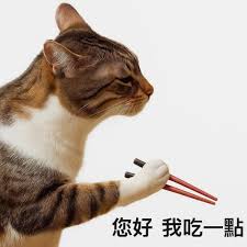 这张梗图是一只橘色猫咪前爪擎着一双筷子，猫咪姿势拟人化，似乎正准备夹菜，并配有‘您好 我吃一点’的文字说明。整体氛围搞笑呆萌，极具亲和力，非常适合作为线上美食互动的开场白。该系列表情包在评论区常用于虚拟蹭饭、互动回复，诙谐地表达“想分一口”的情绪。

双关/暗示说明：’我吃一点‘字面是请求分享食物，背后则代表网络群体虚拟聚餐、在线社交的文化需求。