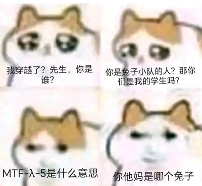 这是一张由四格mur猫表情包改编创作的搞笑梗图，核心围绕SCP基金会世界观与普通认知的错位误解展开叙事。第一格呈现穿越者刚到陌生环境的疑惑，询问对方身份；第二格路人将“MTF-λ-5（白色兔子特遣队）”误解为普通的“兔子小队”，误以为对方是自己的学生；第三格穿越者对路人的误解感到困惑，询问SCP机动特遣队代号的含义；第四格知晓SCP世界观的角色因对方的认知错位感到愤怒，发出质问。图中mur猫的神态从疑惑、好奇到迷茫，最后转为愤怒，精准放大了跨圈层认知差异带来的喜剧反差，让不同认知背景的观者能get到误会产生的笑点。