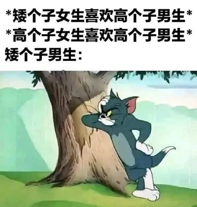 这是一张图文混排的文字加注梗图，上方用文字点明当下一种被调侃的择偶现象：矮个子女生和高个子女生的择偶偏好都倾向于高个子男生，随后以“矮个子男生:”引出下方的动画截图。截图内容是经典动画《猫和老鼠》中的汤姆猫，它单手扶着树干，另一只手叉腰，眉头紧皱，眼神失落，身体倾斜靠在树上，姿态满是沮丧与无力，生动地表现出矮个子男生在这种择偶偏好下被忽视、无人问津的尴尬与失落处境，通过幽默的方式戳中相关群体的共鸣，调侃了部分女生在择偶时对身高的偏向性。
