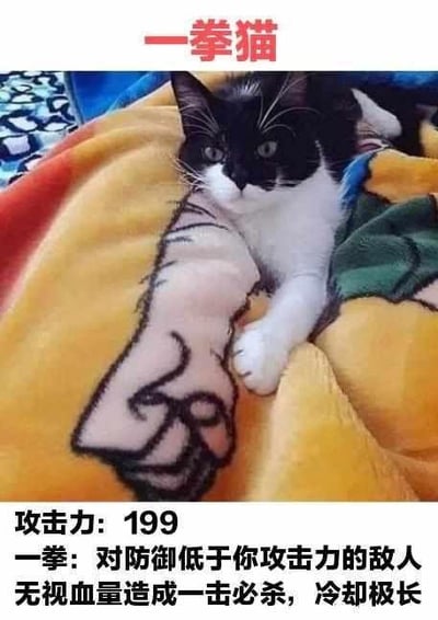 这是一张宠物玩梗的搞笑图文梗图，一只黑白奶牛猫趴在印有大拳头图案的毯子上，由于猫咪的身体位置与毯子上的拳头图案刚好重合，视觉上仿佛猫咪拥有了巨大的拳头，被网友命名为“一拳猫”。图中还配上了模仿游戏角色属性的文字介绍：攻击力199，技能“一拳”可对防御低于自身攻击力的敌人无视血量一击必杀，冷却极长，玩了《一拳超人》里埼玉老师无敌一拳的梗，制造出反差搞笑的效果。