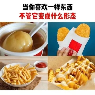这是一张多图拼接的图文混排图，图中顶部配有醒目的文字“当你喜欢一样东西 不管它变成什么形态”，下方由四个小图组成，分别展示了土豆的四种不同料理形态：左上角是盛放在汤杯中的土豆泥，搭配勺子；右上角是被装在薯条包装袋里的长条状薯饼，模仿薯条的形态；左下角是装在碗中、搭配一小碟番茄酱的常规薯条；右下角是淋有芝士酱和调味酱的芝士肉酱薯条。这组图片用土豆的多样料理形式呼应了顶部的文字，生动地表达了对于喜爱的事物，无论它以何种形式呈现都会心生喜爱的心情，精准戳中了喜爱土豆类美食人群的喜好，是带有趣味感的美食相关内容。