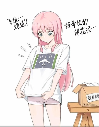 粉色长发的原创动漫女孩穿上了网购随机发货的T恤，她双手扯着T恤下摆，看着上面的飞机+跑道印花露出困惑的表情，嘴里念叨着“飞机…跑道？”“好奇怪的印花呢…”。旁边的纸箱上标注着“随机发货”，而这件T恤的印花设计存在视觉错觉，会让人产生尴尬的联想，是用来吐槽网购随机发货遇到离谱商品的搞笑梗图。
梗点说明：T恤上的飞机跑道印花和女孩的身体位置结合，形成了类似飞机“停在”尴尬部位的视觉错觉，属于设计失误带来的搞笑效果。