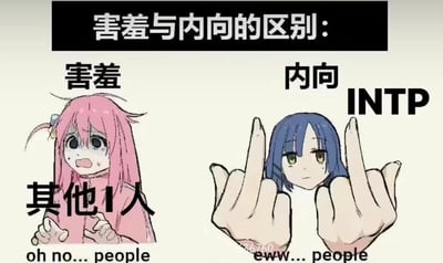 这张梗图通过两个动漫风格女孩对比害羞与内向的区别。左侧粉色头发女孩面对他人时表现出紧张不安，配文'oh no... people'；右侧蓝色头发女孩（标注INTP）则做出双中指手势，配文'eww... people'，幽默地表现出INTP性格对社交的厌恶态度。