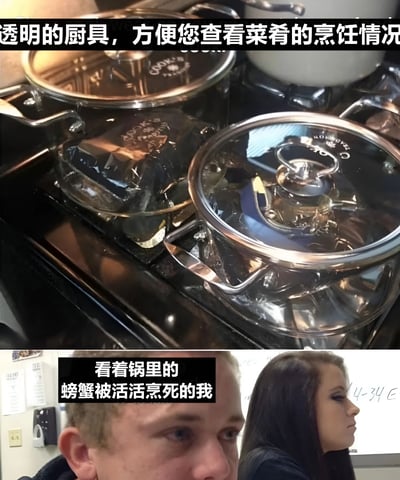 图片分为上下两部分。上半部分展示了燃气灶上的透明玻璃盖锅具，锅盖上印有品牌标识，配文“透明的厨具，方便您查看菜肴的烹饪情况”，突出产品设计卖点；下半部分是两名真人的侧脸特写，左侧人物眼神略带复杂，右侧人物表情平静望向一侧，配文“看着锅里的螃蟹被活活煮死的我”。通过上下对比形成幽默反差，用产品宣传话术反衬出烹饪活物时的微妙心理，引发共鸣。