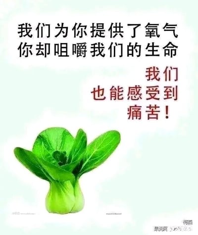 暂无描述