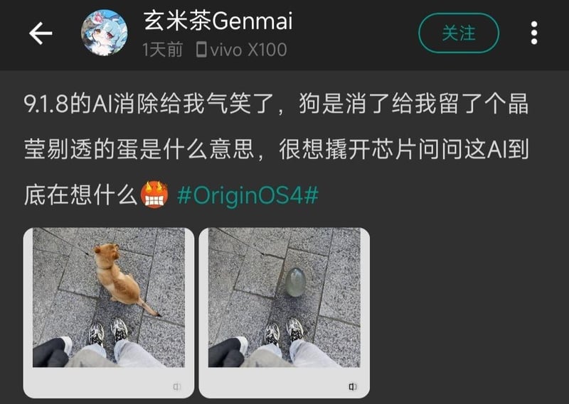 小黄狗