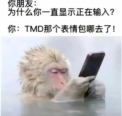 上方文字对话展现了聊天场景中朋友的疑问与自己的抓狂反应：朋友询问“为什么一直显示正在输入”，自己则怒吼“TMD那个表情包哪去了”。下方配图是一只毛发凌乱的雪猴正低头专注盯着手机屏幕，眼神中透着焦急与认真，仿佛在拼命翻找表情包。生动还原了人们在聊天时想发表情包却找不到的真实窘迫瞬间，充满生活气息和幽默感。