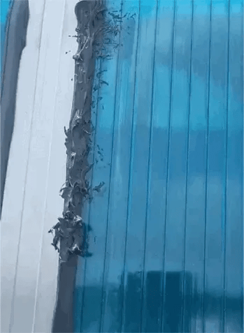 这是一段竖屏动态GIF，展示了蓝色波纹采光板与白色墙面的衔接缝隙处，有大量小型昆虫在活动，同时不断有细碎的残渣从缝隙位置掉落，呈现出建筑缝隙被虫害侵蚀的真实场景，画面细节清晰，能直观看到昆虫的活动状态和碎屑掉落的过程。