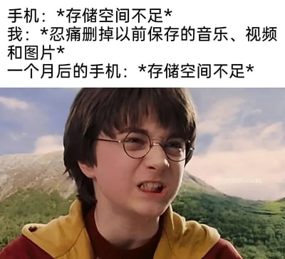 这张梗图上半部分是文字内容，描述了手机存储空间不足的循环：手机提示存储空间不足，用户忍痛删除音乐、视频和图片，一个月后手机再次提示存储空间不足。下半部分是电影《哈利·波特》中哈利·波特的截图，他戴着圆框眼镜，眉头紧皱，咬牙切齿，表情愤怒又无奈，完美表达了面对手机存储空间不断不足的抓狂心情。