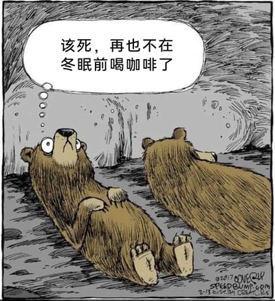 这是一幅美式单格卡通漫画，场景设定在棕熊的冬眠洞穴内。画面中右侧的棕熊正安稳地趴在地面上冬眠，而左侧的棕熊则躺在地上，双眼圆睁，神情满是烦躁与懊悔，上方的对话气泡中它念叨着“该死，再也不在冬眠前喝咖啡了”。漫画利用咖啡的提神功效与棕熊冬眠需要入眠的习性制造出强烈的反差，用拟人化的方式表现出失眠的烦躁感，充满幽默趣味。