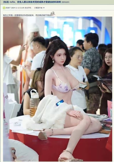 这是一则国内论坛生活板块的帖子，发布于2024年11月13日，楼主配文表示期待仿生人技术与义体技术同时成熟，认为这是健全的科技树方向，并附上了展会现场的高仿真女性实体娃娃实拍图。图中的实体娃娃造型精致，坐姿展示在展台上，周围有不少参观者，楼主的配文表达了对相关技术落地的迫切期待，希望在自己有生之年能看到这类实体娃娃实现智能化运作。