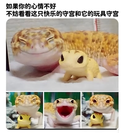 图片上方配有文字“如果你心情不好 不妨看看这只快乐的守宫和它的玩具守宫”，主体部分由一张主图和三张辅图组成。主图中一只真实的守宫闭着眼睛，嘴角上扬，呈现出类似微笑的快乐表情，旁边放着一个黄色的玩具守宫。下方三张辅图分别展示了守宫与玩具守宫互动的不同瞬间：第一张守宫微笑着趴在玩具守宫上方，第二张守宫张大嘴巴，第三张守宫站立着，玩具守宫在其前方，整体营造出温馨治愈的氛围，旨在通过可爱的动物形象帮助改善心情。