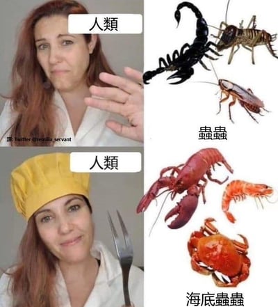 这是一张上下拼接的对比梗图，分为两个部分：
1. 上图：一位红发女性露出嫌弃的表情，伸出手做出拒绝的动作，旁边标注“人类”；右侧是蝎子、蟑螂、蟋蟀三种陆生节肢动物，标注“虫虫”，表现人类对这类让人反感的虫子的排斥态度。
2. 下图：同一位女性戴着黄色厨师帽，手持叉子，露出期待的表情，旁边标注“人类”；右侧是龙虾、基围虾、螃蟹三种水生节肢动物，标注“海底虫虫”，表现人类对这类可食用海鲜的喜爱与期待。

这张图通过双标反差的搞笑手法，调侃人类对同属节肢动物的生物，因为是否具有食用价值而产生截然不同的态度，将海鲜戏称为“海底虫虫”，放大了这种双标感，引发网友共鸣。