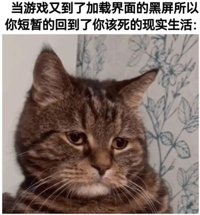 这是一张针对游戏玩家情绪的文字加注类表情包，上方配文精准描述了玩家在游戏加载黑屏的间隙，被迫从沉浸的游戏世界抽离回到现实时的厌烦与无奈。图中的狸花猫眼神低垂，表情沮丧低落，神态完美契合了玩家此时的心情，用生动的动物神态将这种从快乐到低落的情绪反差具象化，很容易引发游戏玩家的共鸣，常被用于社交平台中表达对现实的逃避和对游戏的沉迷，以及切换场景时的低落感。