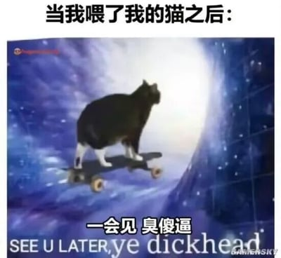 这是一张网友创作的P图改编搞笑梗图，画面将一只黑白猫咪的形象与脚踩滑板的动作合成在类似宇宙星空的科幻背景中，营造出猫咪潇洒滑行离去的夸张场景。图上方配文“当我喂了我的猫之后：”，下方搭配中英文脏话“一会见 臭傻逼”“SEE U LATER ye dickhead”，用反差感调侃猫咪在被铲屎官喂食后，不仅没有感激，反而态度嚣张、毫不领情的样子，精准戳中养猫人日常与猫咪相处时，猫咪高冷傲娇的趣味反差，充满幽默效果。