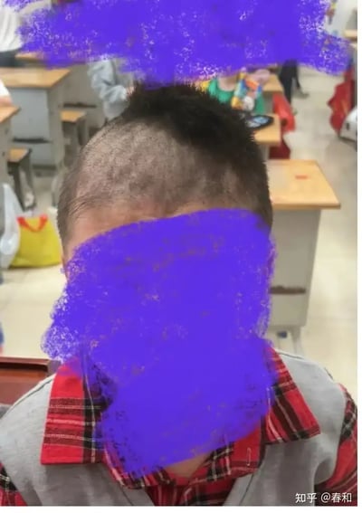 图片中为一名穿着红色格子衬衫、灰色马甲的学生，坐在教室内。学生头发理得十分凌乱不均，顶部稀疏、两侧参差，发型十分怪异，有点像恶搞的“地中海”或剃头失败现场，画面十分搞笑、尴尬，很容易让人联想到小朋友模仿大人理发或互相理发的趣事。

画面透露出尴尬和无奈，充满“自作孽”幽默感，常见于网络调侃理发失败、手残党、自暴自弃等情境。

**无明显谐音梗，也未见暗示或双关。**