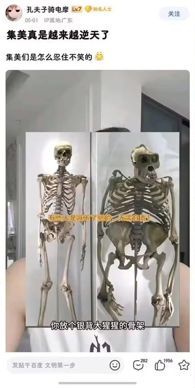 这张梗图展示了人类骨架和银背大猩猩骨架的左右对比，左侧是标准人类骨架，右侧是体型更为粗壮的银背大猩猩骨架。图中配有幽默文字："有些人是减不了肥的，无需自责!"和"你放个银背大猩猩的骨架"，通过将人类与大猩猩骨架对比，调侃某些人体型较壮的现象，以幽默方式缓解减肥焦虑。上方是社交媒体帖子截图，用户"孔夫子骑电摩"配文"集美真是越来越逆天了"和"集美们是怎么忍住不笑的 😂"，增强了搞笑效果。