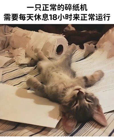 图片展示了一只灰色小猫四脚朝天躺在被撕碎的纸张和卫生纸卷中间，上方配有文字'一只正常的碎纸机需要每天休息18小时来正常运行'。这是一个幽默梗图，将调皮捣蛋的猫咪比作需要大量休息的'碎纸机'，调侃猫咪喜欢撕纸的习性和长时间睡眠的特点。