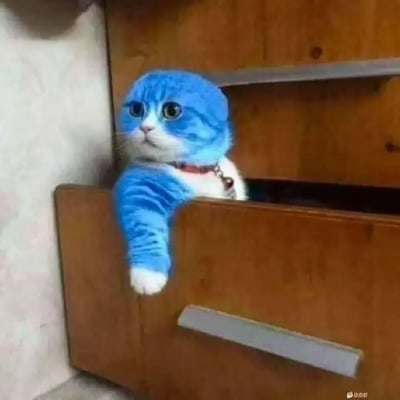 这是一只被P成蓝色的猫咪趴在抽屉里的图片，猫咪一只爪子搭在抽屉边，表情又无辜又慵懒，给人一种偷懒又混入新环境的趣味效果。蓝色猫猫和木质抽屉形成强烈视觉反差，极具喜感，适合表达‘摸鱼’‘偷懒’的场景。

图中用P图手法把原本普通毛色猫咪改成亮蓝，既呼应了动画蓝猫的形象，也和‘蓝瘦香菇’等情绪梗有联想感。