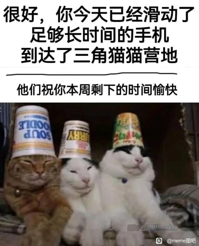 这是一张治愈系的图文混排meme图，上方用黑色醒目字体传递趣味文案：“很好，你今天已经滑动了足够长时间的手机到达了三角猫猫营地 他们祝你本周剩下的时间愉快”，以此调侃长时间刷手机的行为，同时送上温柔祝福；下方是三只猫咪的实拍照片，每只猫咪的头上都戴着一个速食桶的纸质外包装，它们都眯起眼睛，嘴角上扬，露出放松惬意的微笑神态，趴卧在一起的姿态显得慵懒又治愈，整体氛围轻松温暖，能有效缓解人们日常刷手机的疲惫感，传递出放松的情绪。