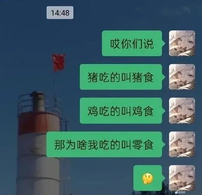 这张图是一张微信聊天截图，背景为带有红旗的高塔，前景是用户与自己自言自语式的聊天记录，探讨动物和人各自食物名称的区别，最后用“零食”与“灵兽食”谐音梗自嘲。幽默搞笑，带有思考脸表情，调侃自己为何人类吃的是“零食”。