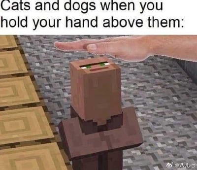 图片上方配有英文标题'Cats and dogs when you hold your hand above them:'，下方为《我的世界》（Minecraft）风格的像素化村民角色。该角色头部呈方块状，绿色眼睛，表情呆滞，正抬头注视一只悬停在其头顶的人类手掌。背景为游戏内典型的石质地面与木质压力板，整体通过游戏角色的反应幽默类比猫狗被手悬停上方时的常见状态。