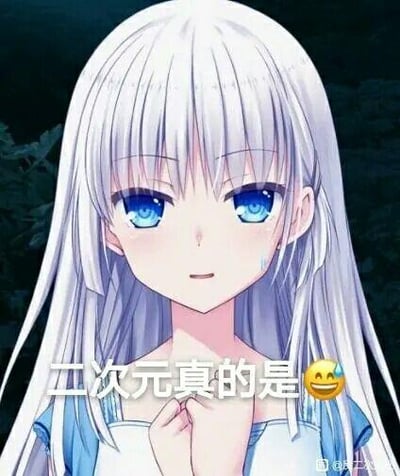 图片中是一位银发蓝眼的动漫风格女孩，她有着长长的银白色头发，蓝色的大眼睛，面带微笑但脸颊上有一滴泪珠。她双手合十放在胸前，背景是深色的植物。图片下方有文字“二次元真的是😂”，表达了对二次元文化的喜爱和感慨。