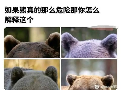 暂无描述