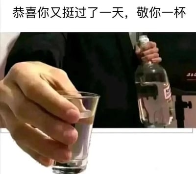 这是一张顶配底文图，上方配有文字“恭喜你又挺过了一天，敬你一杯”，下方是真实人物的两只手，一只手握着装有少量透明液体的玻璃杯，另一只手拿着一个大玻璃酒瓶，姿态像是要为自己举杯。这张图以自嘲式的口吻，精准戳中当代人尤其是打工人在面对生活、工作中的疲惫与压力时的情绪，用自我调侃、自我鼓励的方式来消解一天的辛劳，传递出一种在无奈中保持乐观的心态，很容易引发大众的情感共鸣，常被用作表情包在社交媒体上抒发日常疲惫的情绪。