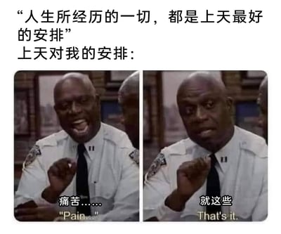 这是一张经过配文改编的搞笑梗图，上方以“人生所经历的一切，都是上天最好的安排”这句常见的鸡汤话语引出，紧接着用“上天对我的安排：”转折，下方是两张左右排列的美国喜剧《神烦警探》的影视截图：左图中身着警服的黑人警察表情痛苦，张嘴嘶吼，配文“痛苦……”；右图中该警察表情转为无奈呆滞，配文“就这些”。整图通过鸡汤话语与残酷自嘲的强烈反差，用幽默夸张的方式调侃自己的人生充满痛苦，没有其他内容，精准戳中当代人在生活不顺时的自嘲心态，引发共鸣。