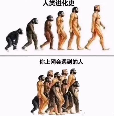 图片分为上下两部分，通过对比手法呈现幽默内容。上半部分标题为“人类进化史”，展示经典的人类进化序列：从黑猩猩逐渐演变为直立行走的现代人类，呈现出从原始到文明的进步过程。下半部分标题为“你上网会遇到的人”，将相同的进化序列反向叠加，所有不同阶段的“人类”挤在一起混乱前行，形成从文明向原始倒退的滑稽对比，以此调侃网络环境中遇到的各类人群。