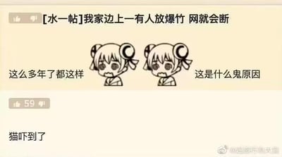 这是一张社交媒体截图类的梗图，上方是用户发布的水帖：“[水一帖]我家边上一有人放爆竹 网就会断”，搭配了两个面露委屈、疑惑神情的卡通双马尾女孩，分别配文“这么多年了都这样”和“这是什么鬼原因”，传递出用户对这一奇怪生活遭遇的疑惑与无奈。下方是一条获得59个赞的评论：“猫吓到了”，这是无厘头的玩梗回复，并未真正解答问题，以此制造搞笑效果。
关于放鞭炮断网的可能原因：1. 鞭炮的冲击波震动导致家中网线接口、路由器等网络设备松动，引发断网；2. 附近运营商的户外线路因鞭炮震动出现接触不良，造成片区网络波动；3. 极少数情况下，鞭炮产生的电磁干扰可能影响部分抗干扰能力弱的网络设备，但这种情况较为少见。