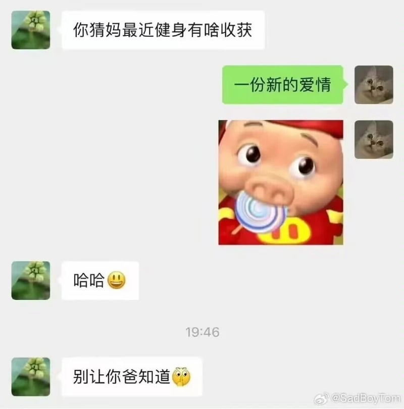 猪猪侠系列动画