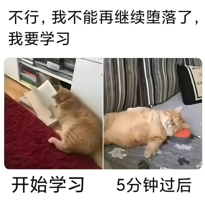 图片上方配有文字'不行，我不能再继续堕落了，我要学习'，表达了下定决心学习的决心。下方分为左右两图：左侧图中一只橘猫正伸手从书架上够书，配文'开始学习'；右侧图中同一只猫四仰八叉地躺在沙发上熟睡，配文'5分钟过后'。通过猫咪前后反差的行为，幽默地展现了人们立志学习却迅速放弃的真实状态，充满自嘲与共鸣感。