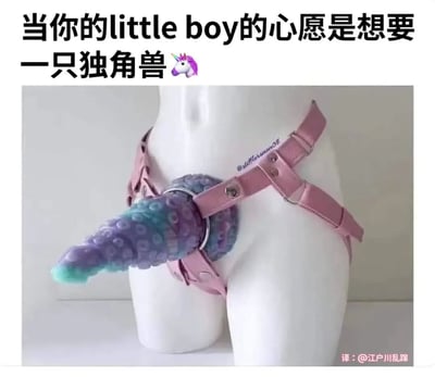 图片上方配有文字“当你的little boy的心愿是想要一只独角兽🦄”，下方展示了一个白色人体模型，模型穿着粉色的束缚带，束缚带前方连接着一个色彩鲜艳（蓝紫色渐变）、形似独角兽角的物体。图片通过将儿童纯真的独角兽愿望与成人情趣用品进行错位关联，制造出一种荒诞又搞笑的反差效果。