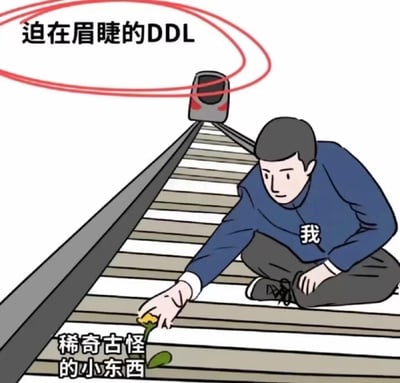 图中穿着印着“我”的蓝色上衣的卡通人物蹲在铁轨上，正专注地伸手去够轨道上被标注为“稀奇古怪的小东西”的小花，完全没注意到身后铁轨上，一辆标注着“迫在眉睫的DDL”的列车正朝着他驶来。这幅图精准还原了很多人在截止日期（DDL）临近时的真实状态：明明知道有紧急任务要完成，却忍不住被无关紧要的小事吸引，拖延着不去处理正事，用夸张的画面戳中了拖延人群的日常焦虑。