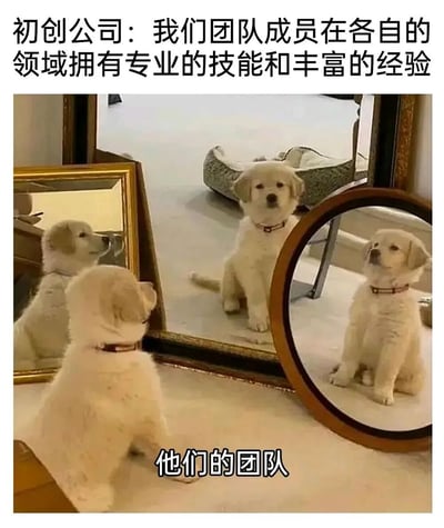 图片上方配有文字'初创公司：我们团队成员在各自的领域拥有专业的技能和丰富的经验'，中间是一只白色小狗坐在多面镜子前，镜子反射出多个小狗的影像，下方文字标注'他们的团队'。通过小狗照镜子产生多个倒影的画面，幽默讽刺了部分初创公司夸大团队规模和实力的现象，实际团队可能只有少数人甚至一人。