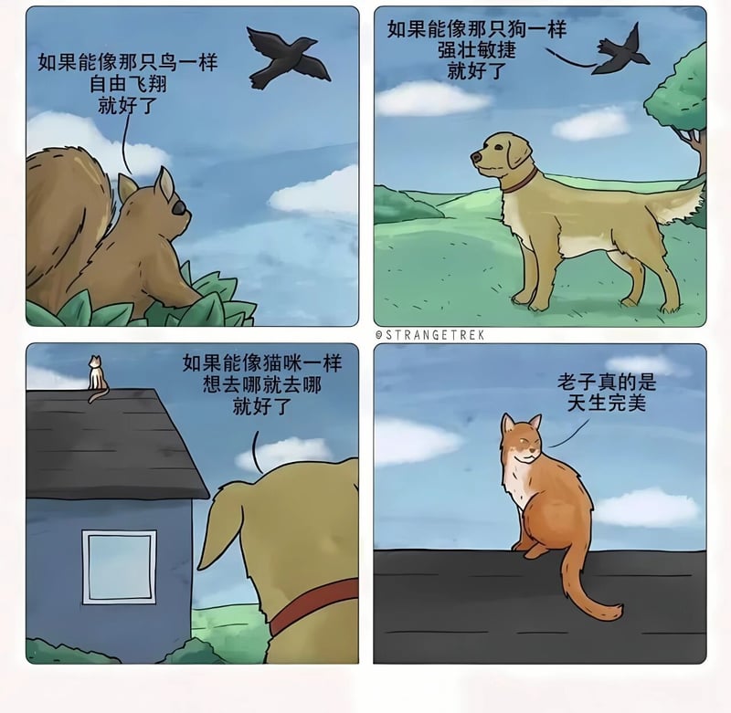 松鼠